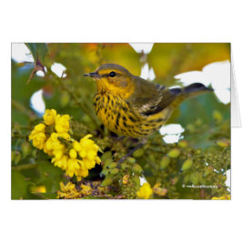 Cape May Warbler med Blommar Mahonia Hälsningskort