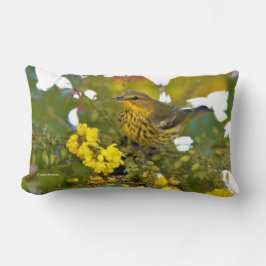 Cape May Warbler Songbird i Blommar Mahonia Lumbarkudde