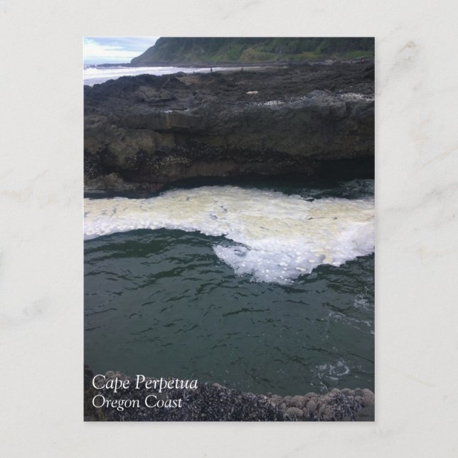 Cape Perpetua, Oregon Kusten Vykort (Framsida)
