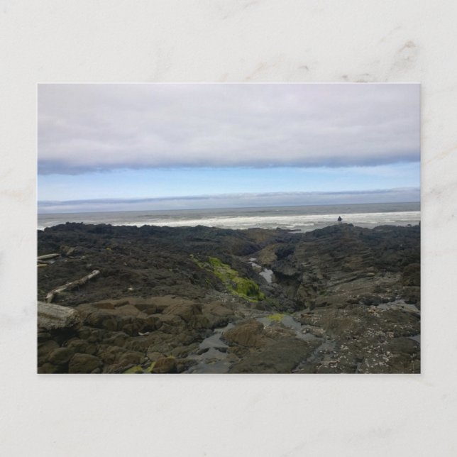 Cape Perpetua, Oregon Kusten Vykort (Framsida)