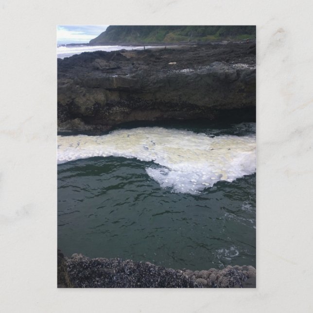 Cape Perpetua, Oregon Kusten Vykort (Framsida)