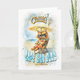 Cape San Blas Florida Beach Lounging Cat Tack Kort