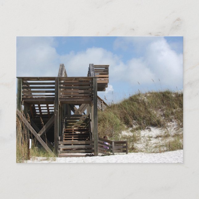 Cape San Blas Florida Dunewalk från strandsidan Vykort (Framsida)