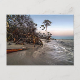 Cape San Blas, Florida Vykort