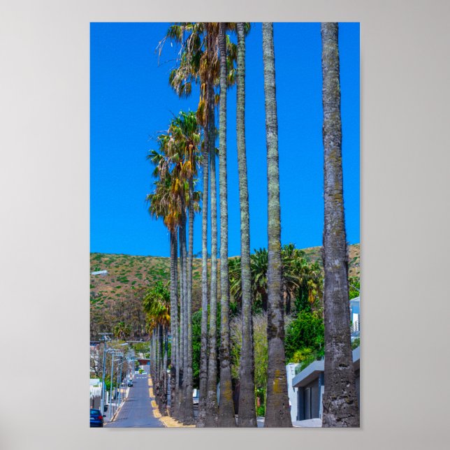 Cape Town Fresnaye Cityscape South Afrika Poster (Framsidan)