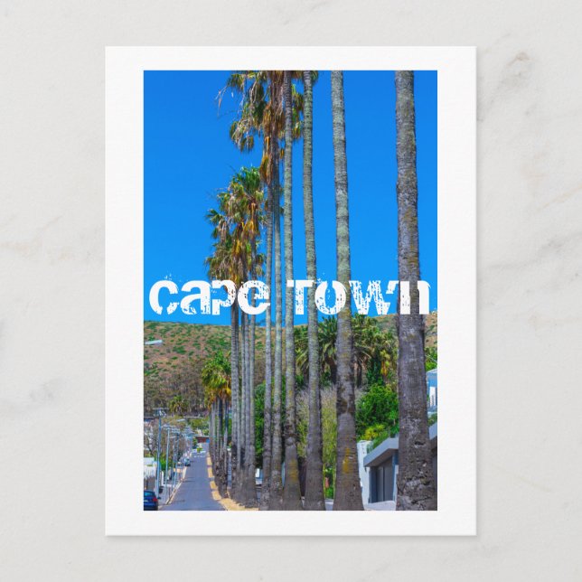 Cape Town Fresnaye Cityscape South Afrika Vykort (Framsida)