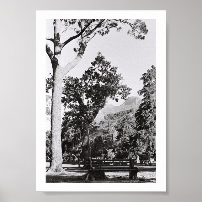 Cape Town Park Nature Mountain South Afrika ZA Poster (Framsidan)