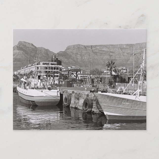 Cape Town South Afrika Bord Mountain Harbour Vykort (Framsida)