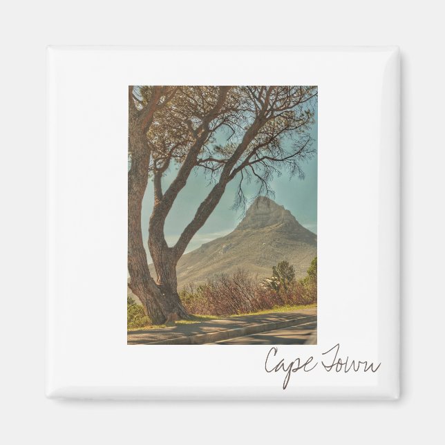 Cape Town ZA South Afrika Lejon's Head Magnet (Framsidan)