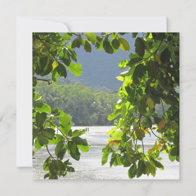 Cape Tribulation Platt Kort (Framsida)