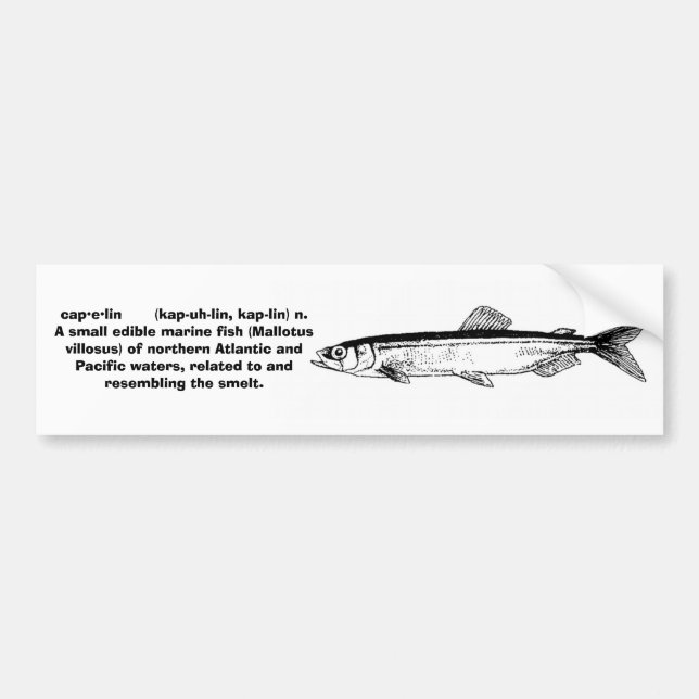 Capelin - bildekal (Framsidan)