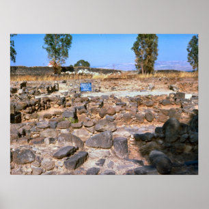 Capernaum Galilee, archaeological plats Poster