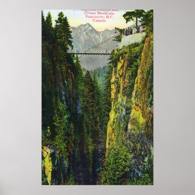 Capilano Canyon View of Krona Mountain Poster (Framsidan)