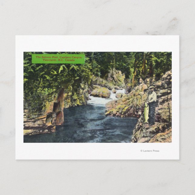 Capilano Canyon View of the Salmon Bassäng Vykort (Framsida)