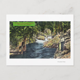 Capilano Canyon View of the Salmon Bassäng Vykort
