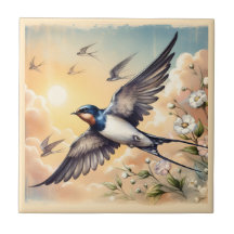 Capistrano Barn Sväljer i Golden Sunset