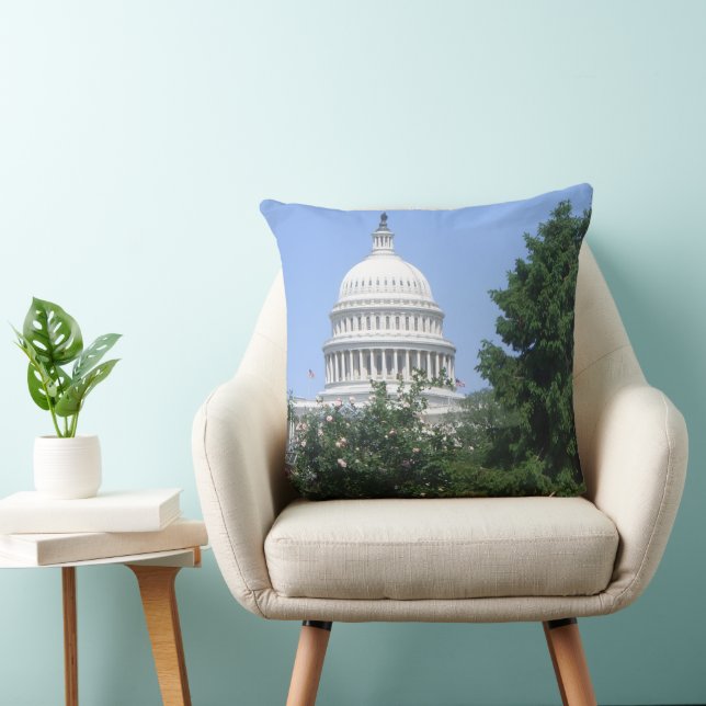 Capitol Building från Bartholdi Park Kudde (Stol)