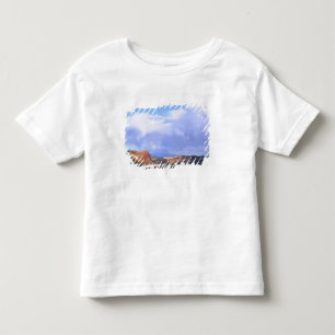 Capitol Reef National Park, Utah. USA. Cumulus T-shirt