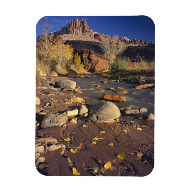 CAPITOL REEF NATIONALPARK, UT, USA, Bomullssläktet Magnet (Vertikal)