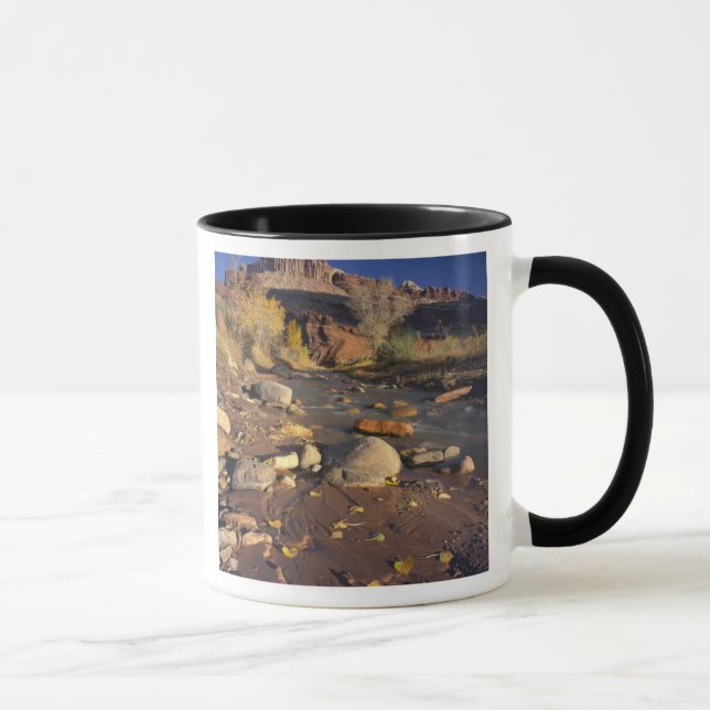 CAPITOL REEF NATIONALPARK, UT, USA, Bomullssläktet Mugg (Höger)