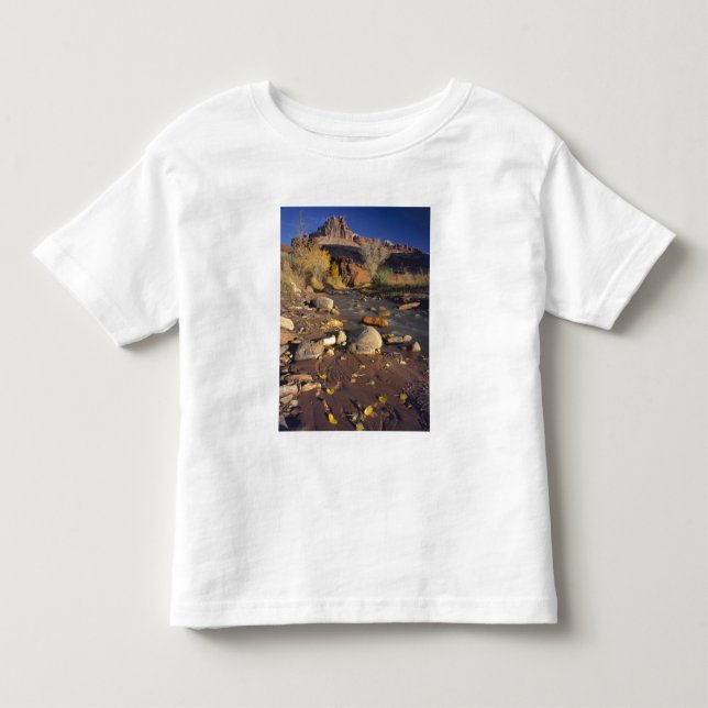 CAPITOL REEF NATIONALPARK, UT, USA, Bomullssläktet Tee (Framsida)
