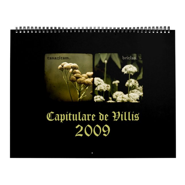 Capitulare de Villis 2009 kalender (Omslag)