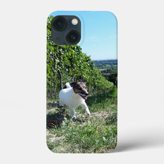 Capo von Oppenheim Jack Russell Terrier, Hund (Baksida)