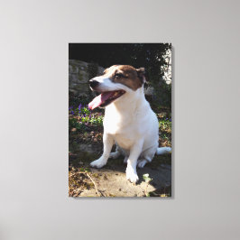 Capo von Oppenheim, Jack Russell Terrier, Hund Canvastryck