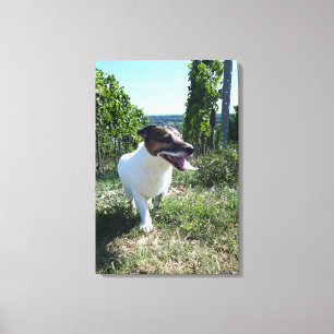 Capo von Oppenheim, Jack Russell Terrier, Hund Canvastryck
