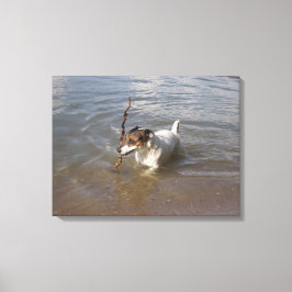Capo von Oppenheim, Jack Russell Terrier, Hund Canvastryck