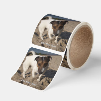 Capo von Oppenheim Jack Russell Terrier, Hund Fyrkantigt Klistermärke