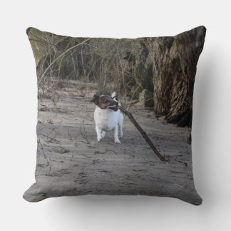 Capo von Oppenheim, Jack Russell Terrier Hund Kudde