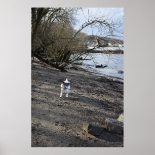 Capo von Oppenheim, Jack Russell Terrier hund Poster