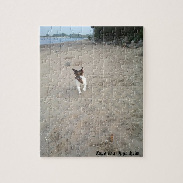 Capo von Oppenheim, Jack Russell Terrier Hund Pussel (Vertikal)