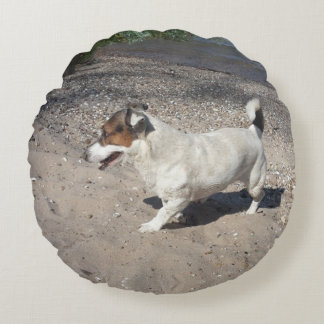 Capo von Oppenheim Jack Russell Terrier, Hund Rund Kudde