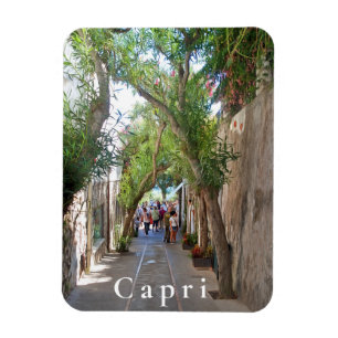 Capri. 5 magnet
