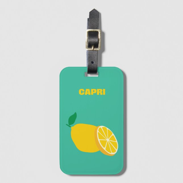Capri Acrylic Luggage Tag Bagagebricka (Framsida vertikal)