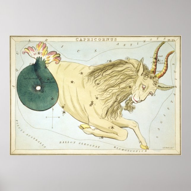 Capricorn Astrological Teckning Poster (Framsidan)