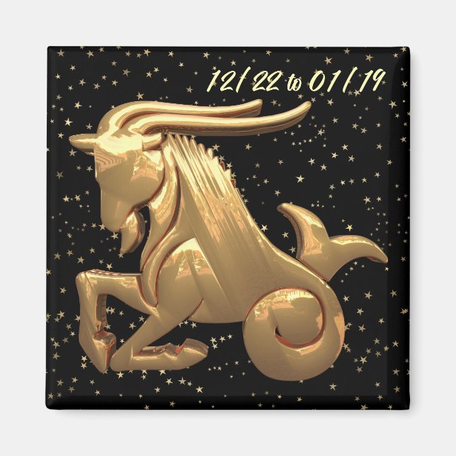 Capricorn Astrology 2 Magnet (Framsidan)