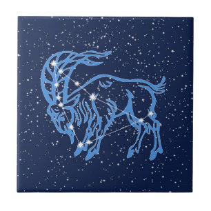 Capricorn Constellation and Sol Sign with Stars Kakelplatta