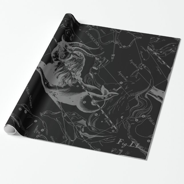 Capricorn Constellation Hevelius 1690 Engrave Presentpapper (Utrullad)