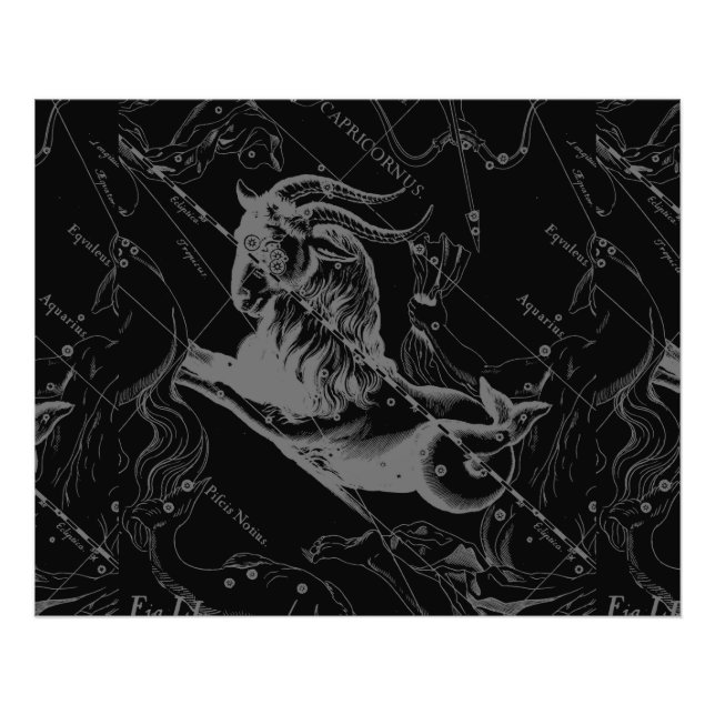 Capricorn Constellation Hevelius 1690 on Black Fototryck (Framsidan)