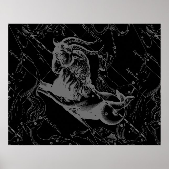 Capricorn Constellation Hevelius 1690 on Black Poster (Framsidan)