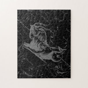 Capricorn Constellation Hevelius 1690 on Black Pussel