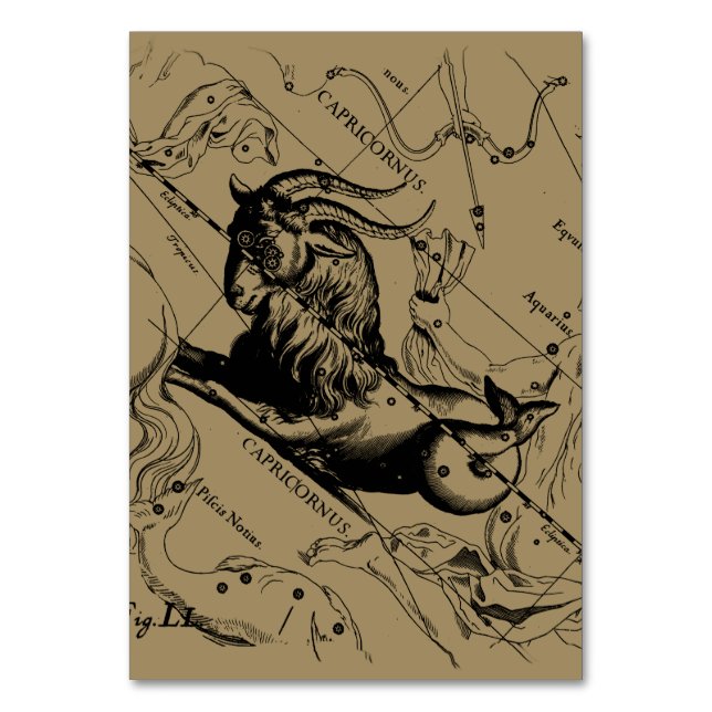 Capricorn Constellation Hevelius 1690 on Taupe Bordsnummer (Framsidan)