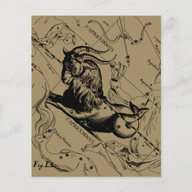 Capricorn Constellation Hevelius 1690 on Taupe Flygblad (Framsidan)