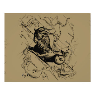 Capricorn Constellation Hevelius 1690 on Taupe Fototryck