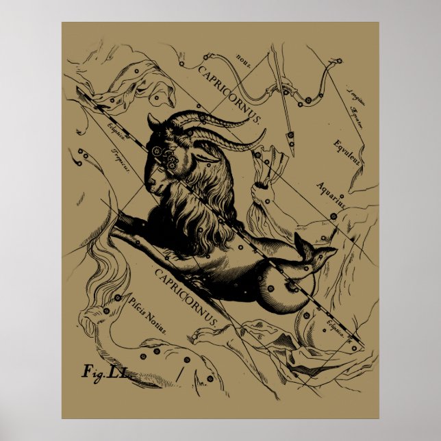 Capricorn Constellation Hevelius 1690 on Taupe Poster (Framsidan)