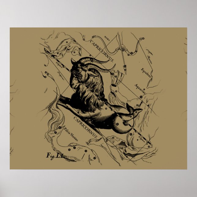 Capricorn Constellation Hevelius 1690 on Taupe Poster (Framsidan)