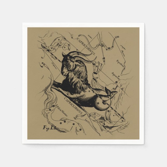 Capricorn Constellation Karta Hevelius circa 1690 Pappersservett (Framsidan)